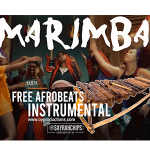 marimba afrobeats riddim instrumental free download