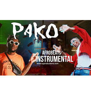 pako afrobeat instrumental, wizkid type beat instrumental, burna boy type beat instrumental, instrumental afrobeat download, free afrobeat ionstrumental